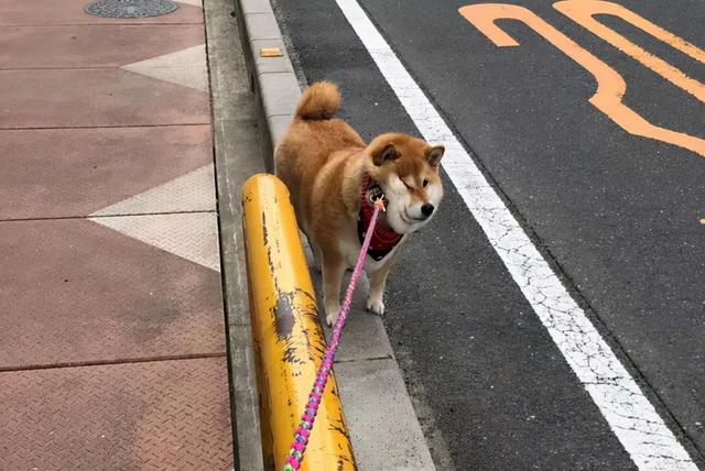 20221112185254_55645