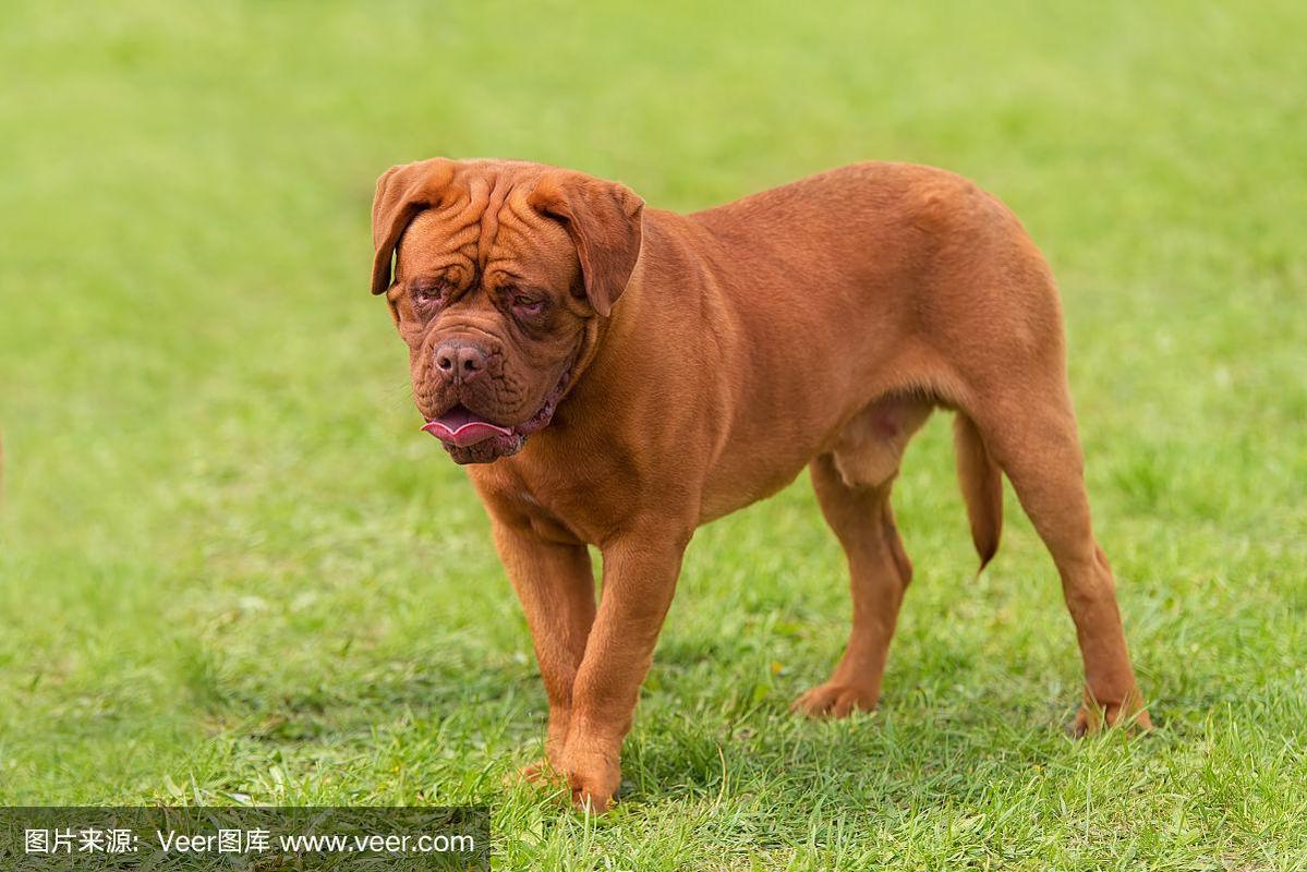 20221112195657_17313 20221112195657_17313