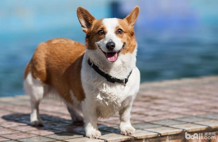 20221112212248_34646