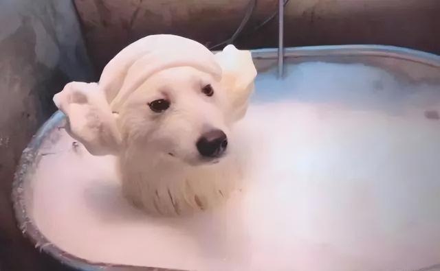 20221113085241_99828 20221113085241_99828