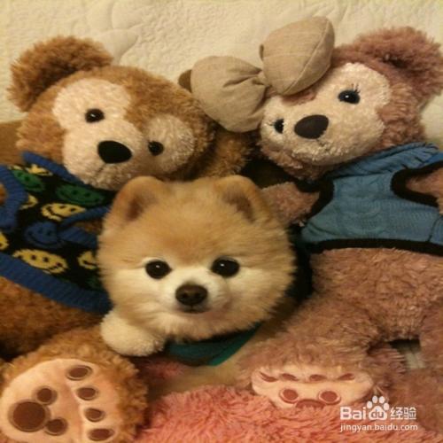 20221113102832_15275