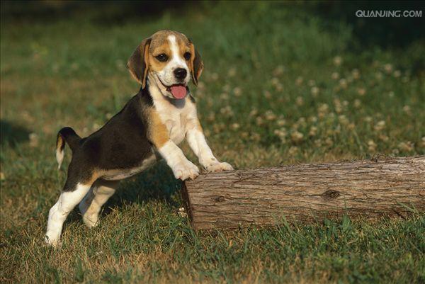 20221113111006_86422 20221113111006_86422