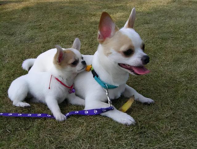 20221113131045_39705