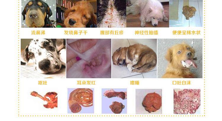 20221113131724_85004