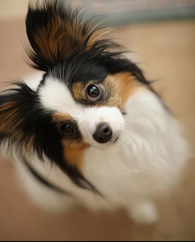 20221113132657_42977