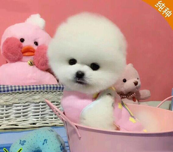 20221113133931_62126