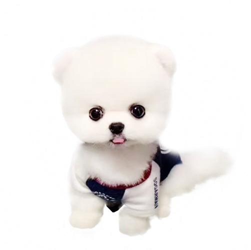 20221113133932_76211