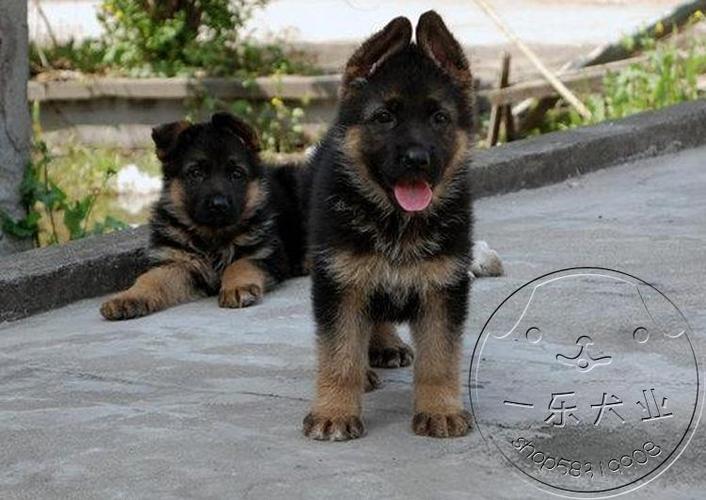 20221113144608_50396 20221113144608_50396