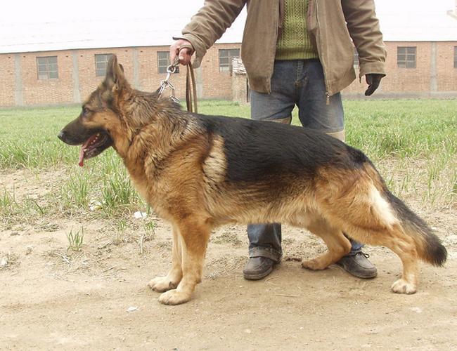 20221113144608_51540 20221113144608_51540