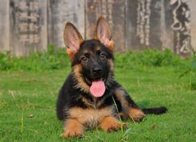 20221113144609_38712 20221113144609_38712