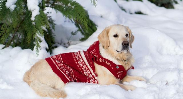 20221113153728_77624