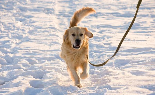 20221113153730_47369