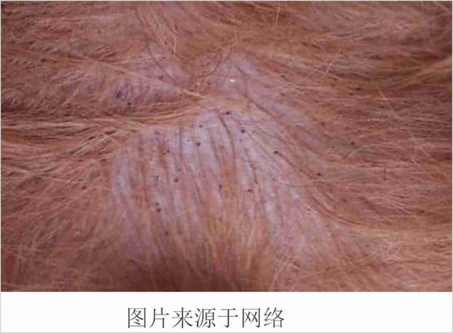 20221113162043_46146