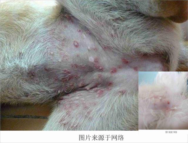 20221113162043_99129