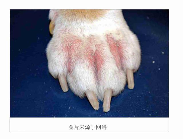 20221113162044_88891