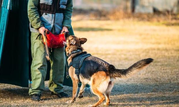 20221113181454_10576