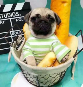 20221113182450_70130