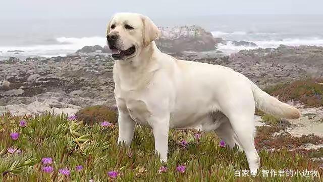 20221113183022_80943