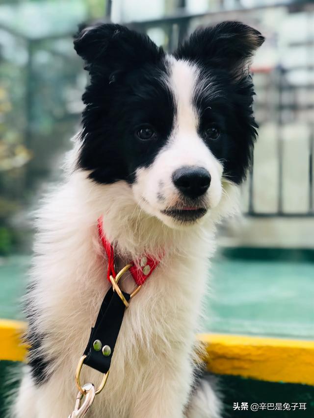 20221113213646_58695 20221113213646_58695