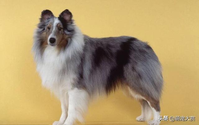 20221113213647_22172 20221113213647_22172