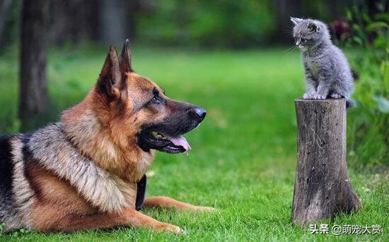 20221113213647_61502 20221113213647_61502