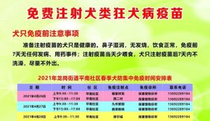 深圳狗狗狂犬疫苗站点(深圳给狗狗打狂犬疫苗要多少钱)-警犬训练器材厂家 _警犬训练用品_工作犬训练用品-南京开久警犬装备