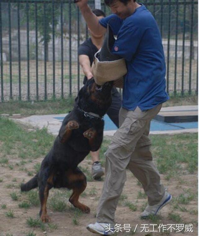 20221114092356_27869 20221114092356_27869