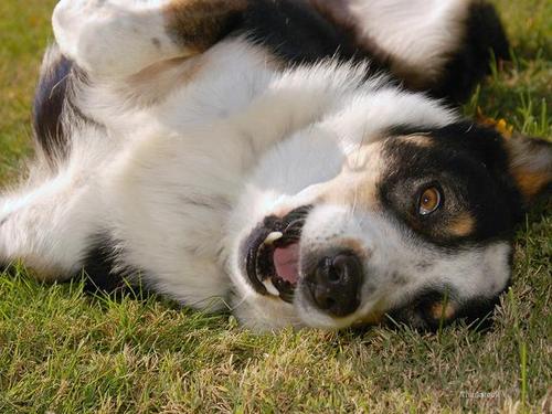 20221114132500_77669