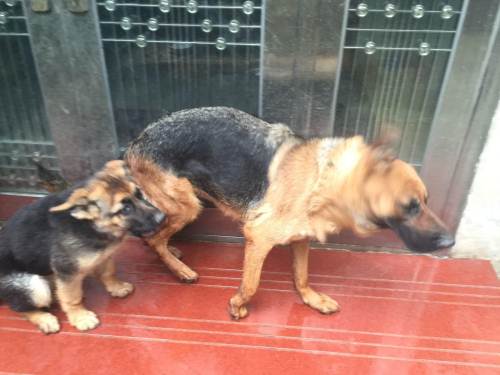 20221115115606_34946