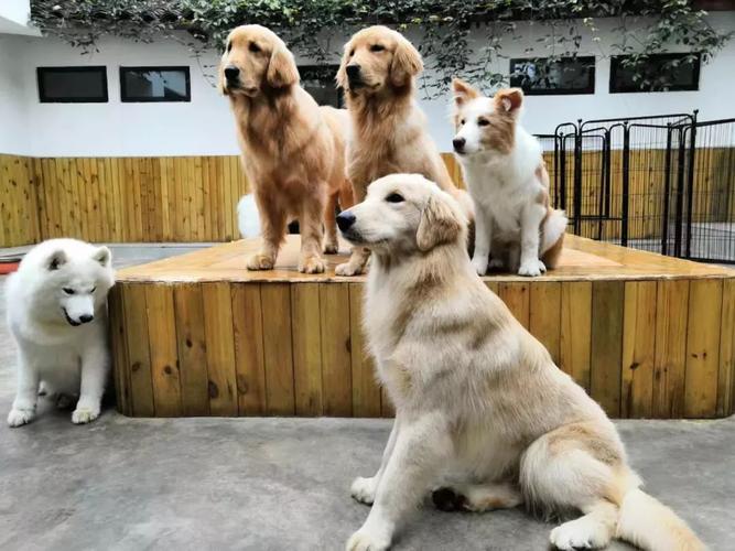 20221115115606_42332