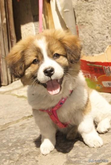 20221115190148_27183 20221115190148_27183