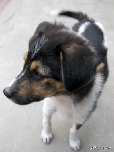 20221115190148_44628 20221115190148_44628