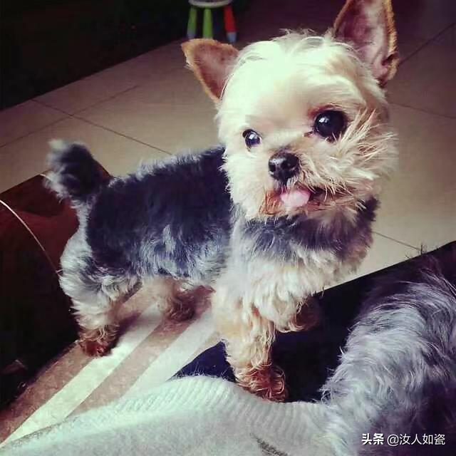 20221115191449_36105