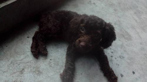 20221115212125_50118