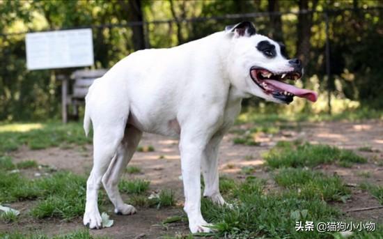 20221115213535_14909 20221115213535_14909