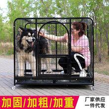 怎么教小狗睡狗笼(狗生了小狗怎么处理)-警犬训练器材厂家 _警犬训练用品_工作犬训练用品-南京开久警犬装备