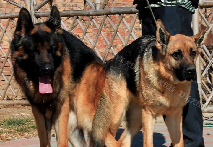 20221115225557_66725