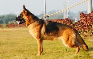 20221115225557_87278