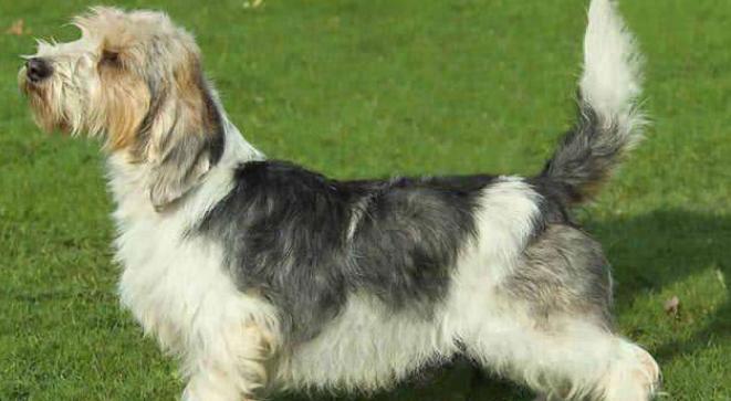 20221116091252_10622