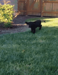 20221116140342_58425