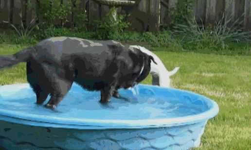 20221116140343_86744