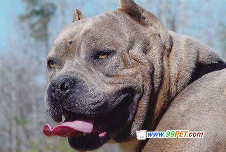 20221116150104_32948