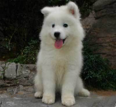 20221116171207_16100 20221116171207_16100