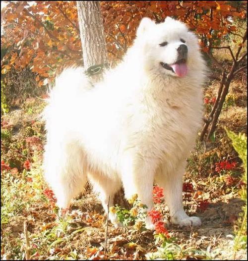 20221116171207_43682 20221116171207_43682