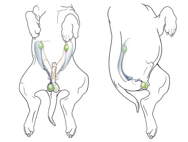 20221116175352_62465