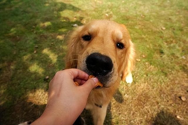 20221116190756_53919