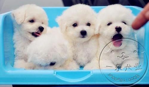 20221116191108_69480