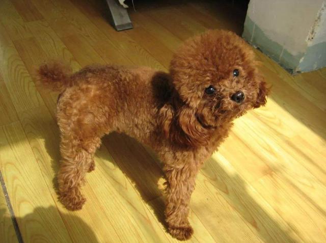 20221117090328_40798