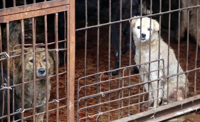 20221117100459_55364 20221117100459_55364