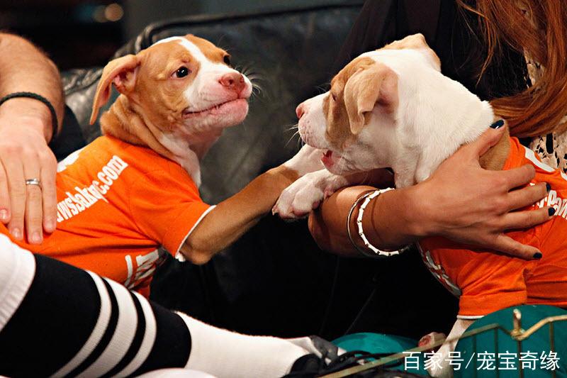 20221117103729_90700 20221117103729_90700